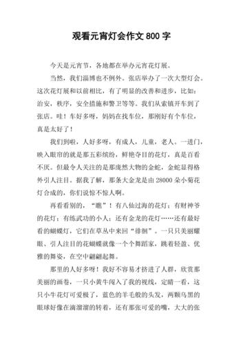 玉溪灯展作文800字