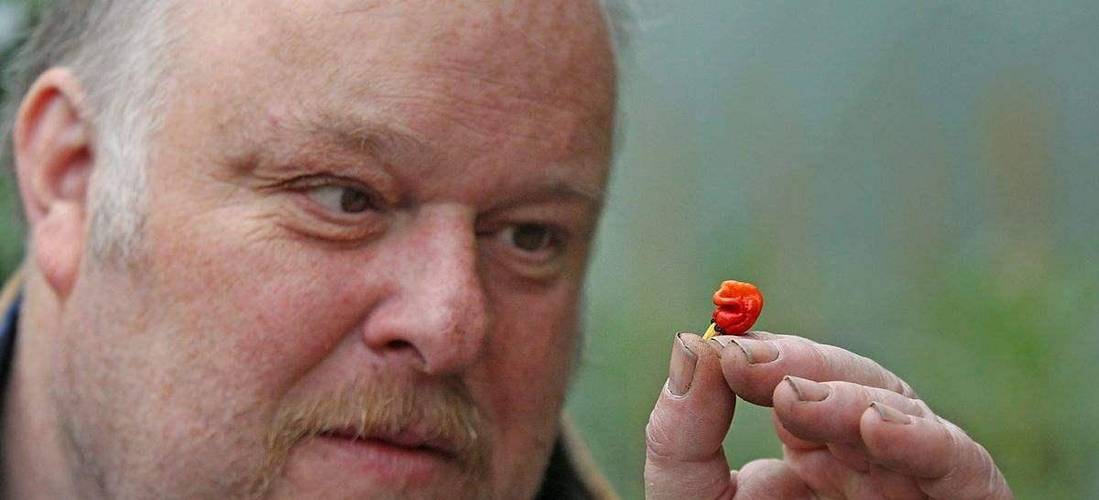 加拿大男子吃死神辣椒破吉尼斯世界纪录，他的记录是多少？