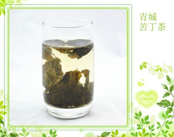 苦丁茶哪里出产的最好