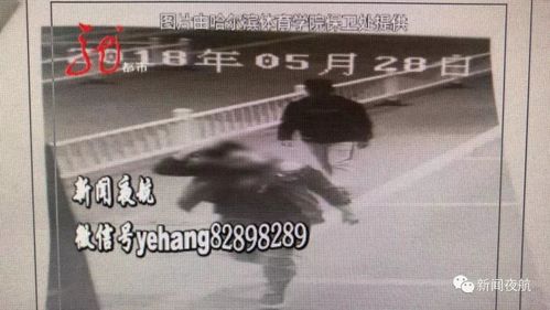 哈市一小偷进体院行窃为何被上百学生围捕？