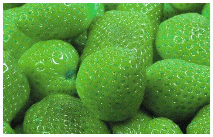 绿色水果有哪些种类