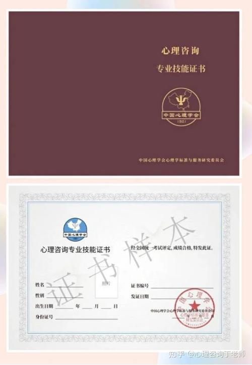 国家认可的心理学培训机构有哪些？